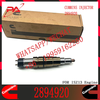 common rail injector 2894920 1948565 2029622 2057401 2897320 1933613 2030519 2031836 1881565 voor dieselmotoren DC13